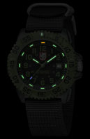    LUMINOX XS.3041 .  