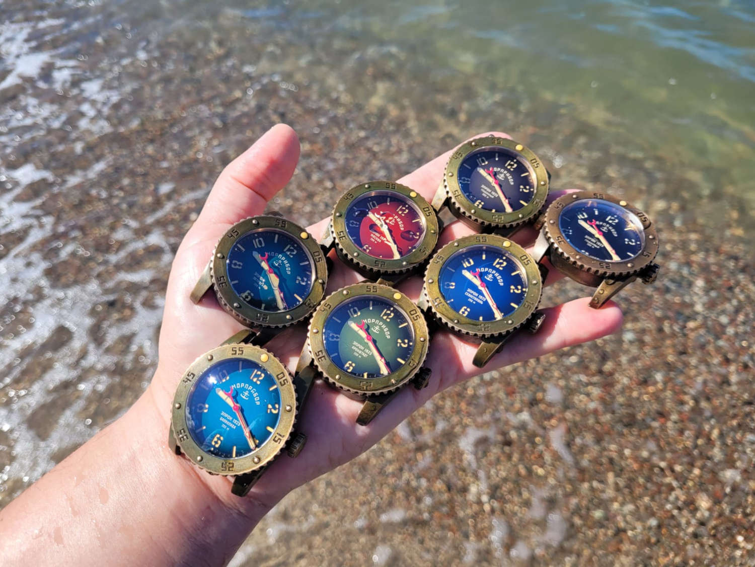 ���� ��������� z006