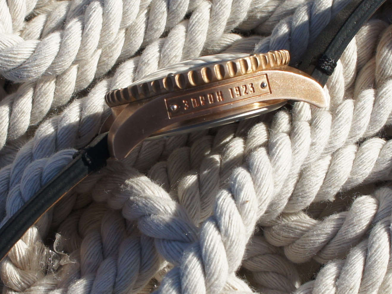 ���� ��������� z009