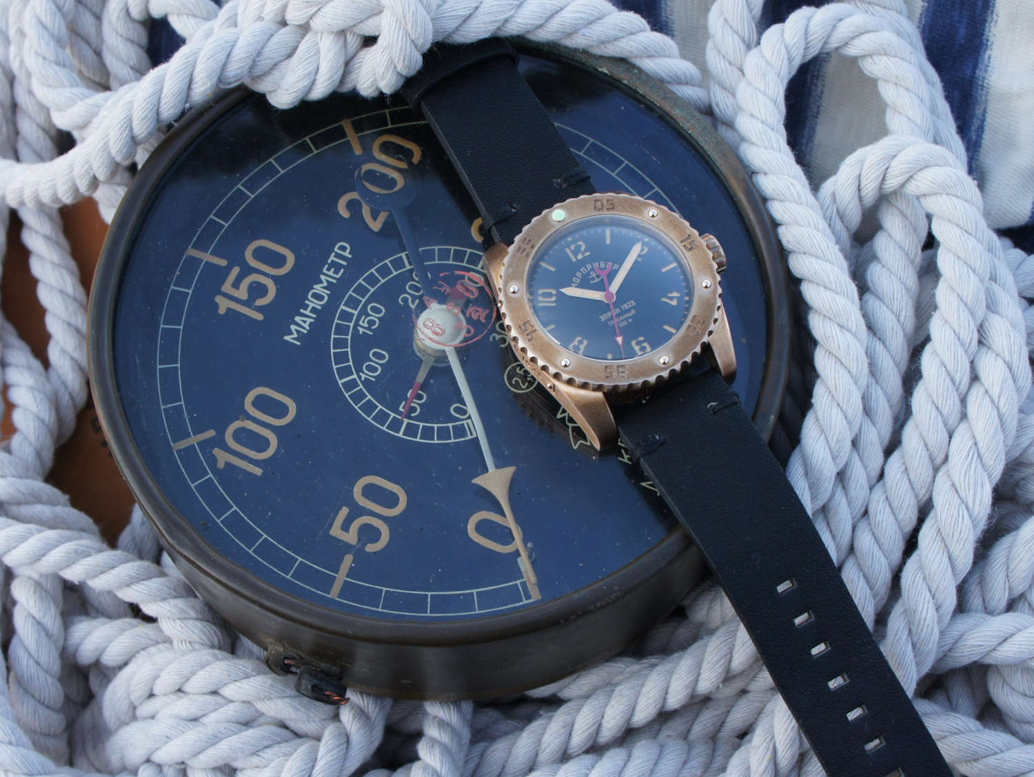 ���� ��������� z010