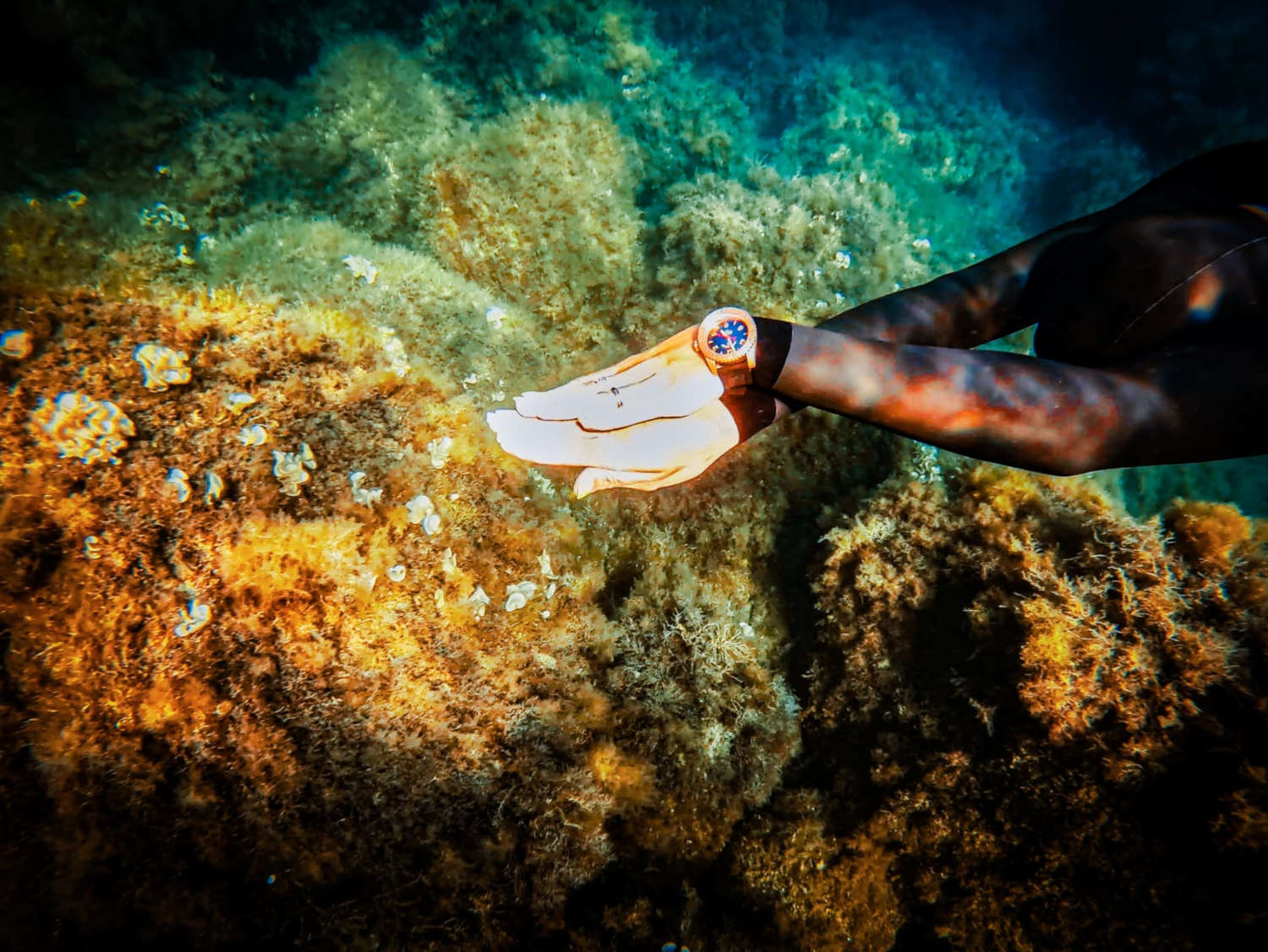 ���� ��������� z014