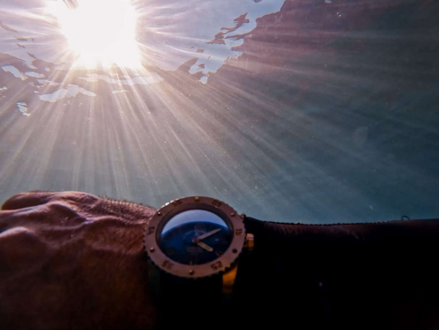 ���� ��������� z016