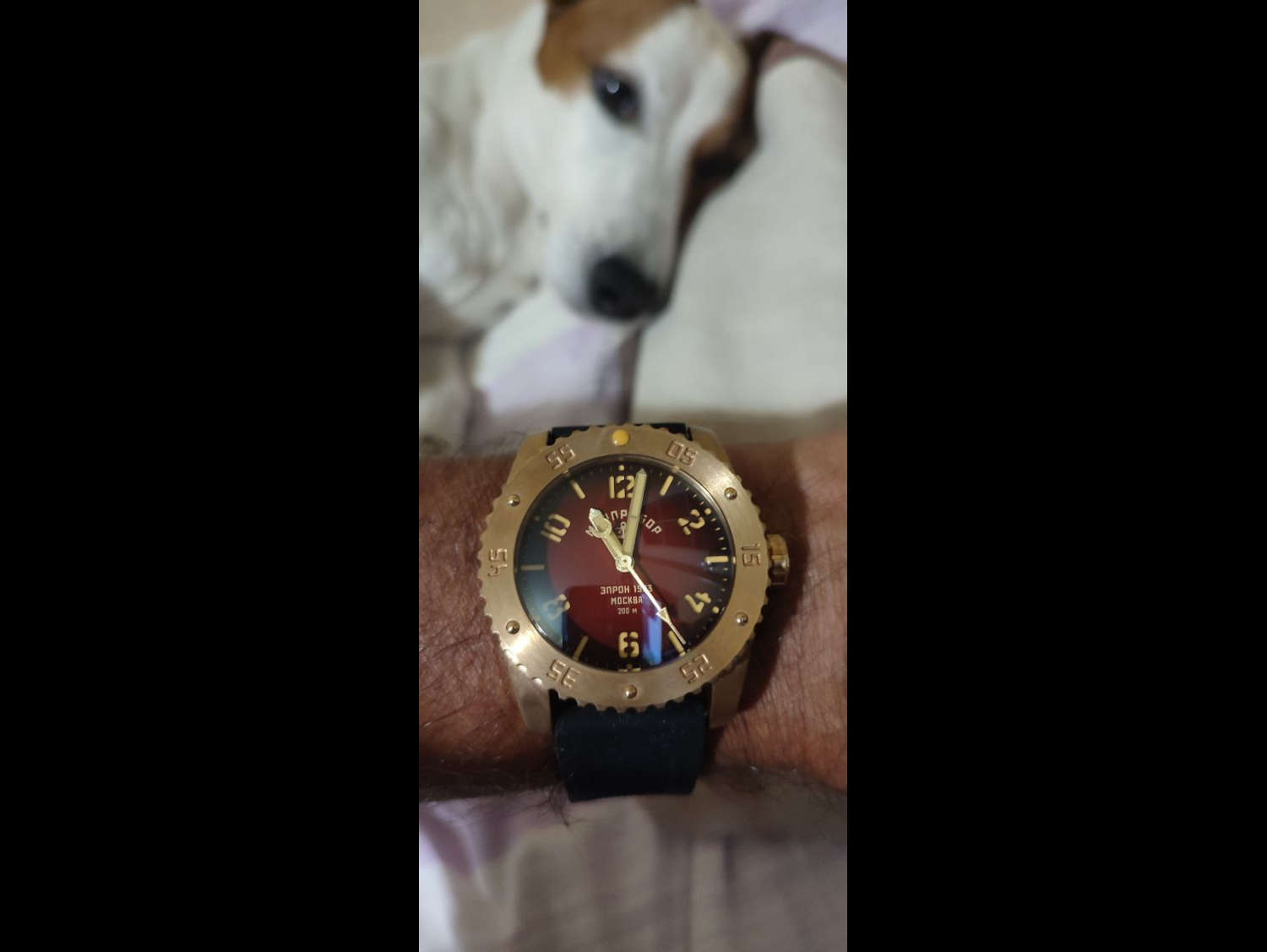 ���� ��������� z017