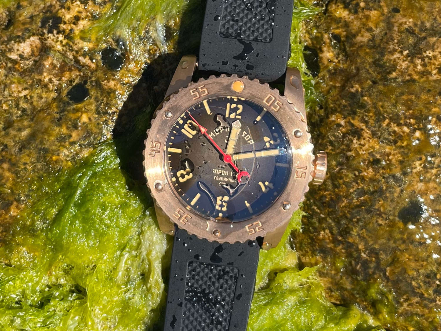 ���� ��������� z020