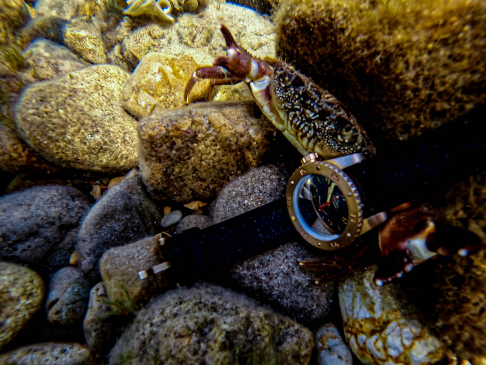 ���� ��������� z024