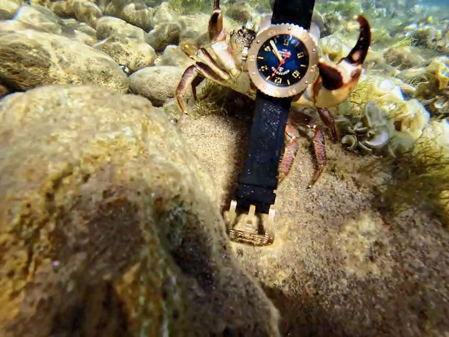 ���� ��������� z034